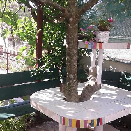 Eleni Daire Tivat Dış mekan fotoğraf