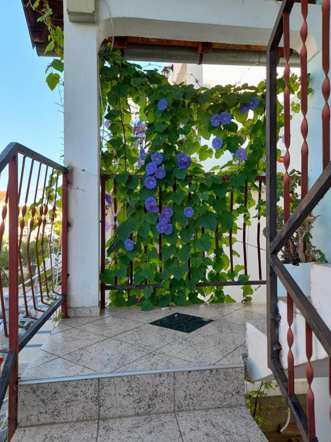 Eleni Daire Tivat Dış mekan fotoğraf