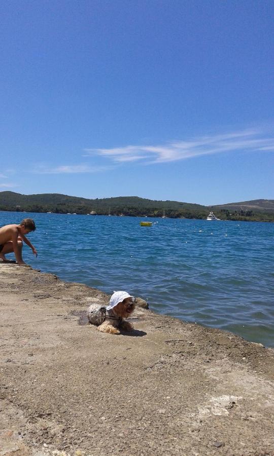 Eleni Daire Tivat Dış mekan fotoğraf